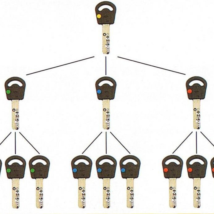 Clave Maestra Reptiles Mágicos