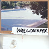 Wallcreeper Cover Art