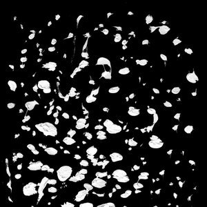 Fera — Vicissitudes (Revisited)