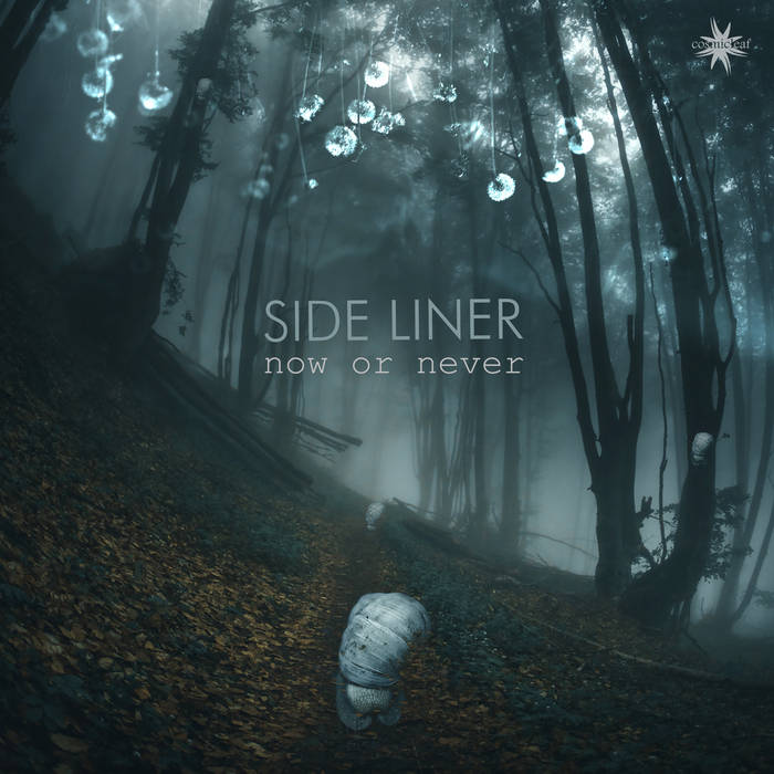 Now or Never [24bit 96khz] | Side Liner | Cosmicleaf Records