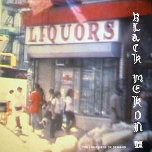 The Lumpiness Of Demand [LP] cover