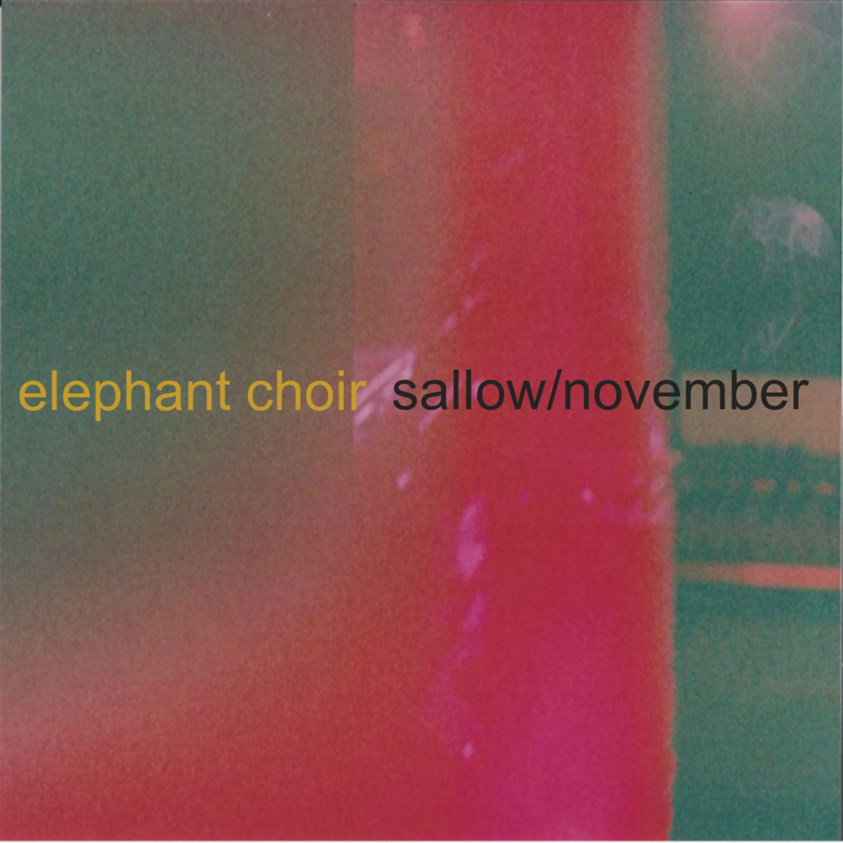 Sallow cover