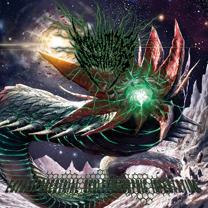 Marvelous Cruelty「Hypnotic（DEMO）」 Marvelous Cruelty profile | Marvelous Crueltyプロフィール