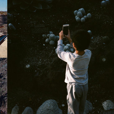 Life, and Another main photo