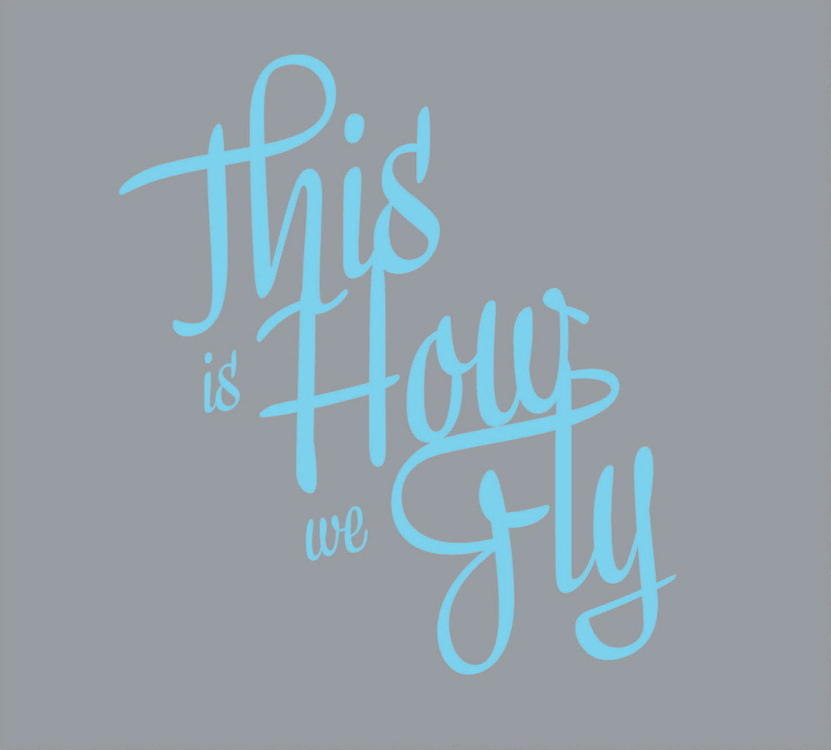 This is How we Fly cover