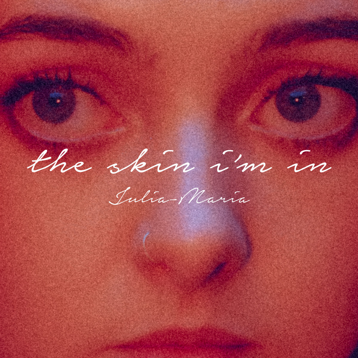 THE SKIN I'M IN cover