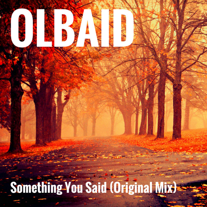 Something You Said Original Mix Olbaid