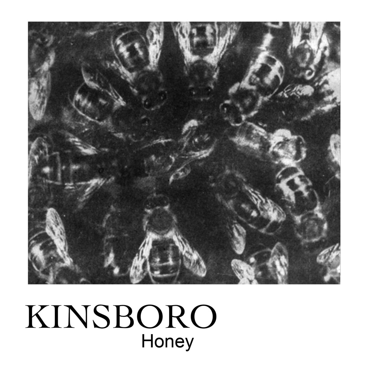 Honey artwork