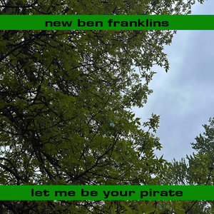 Let Me Be Your Pirate cover