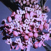 jwfrancis.bandcamp.com