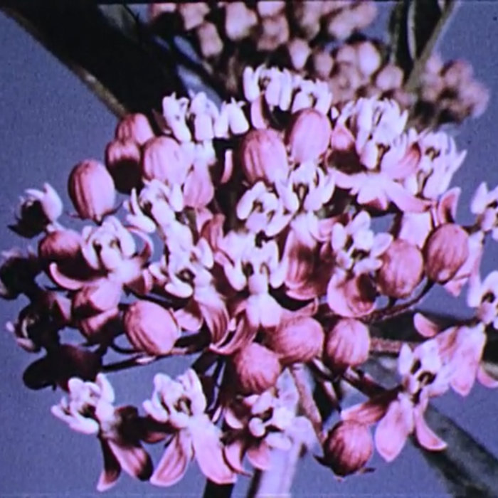 jwfrancis.bandcamp.com