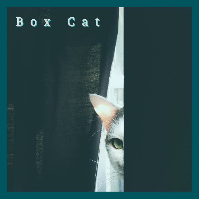 Box cat (Remastered) | Deeplastik | deeplastik
