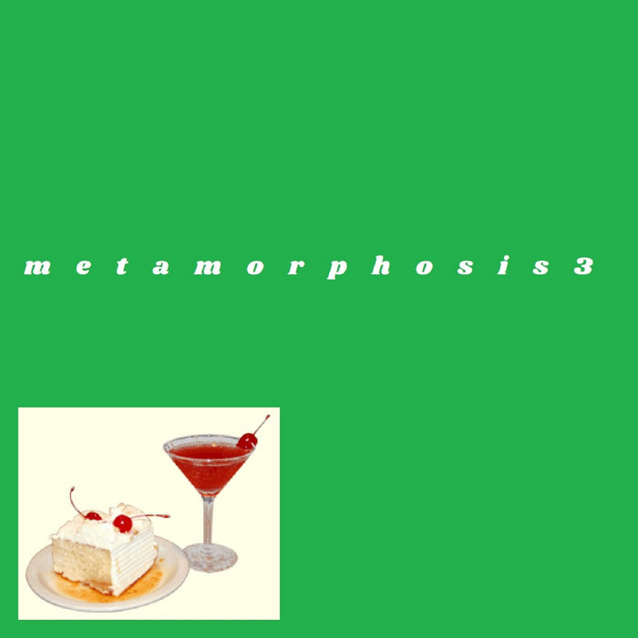 metamorphosis3 | HASAMI group