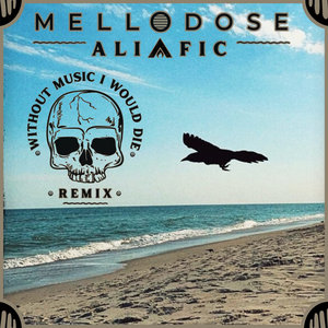 Without Music I Would Die (Remix) cover