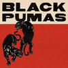 blackpumas.bandcamp.com