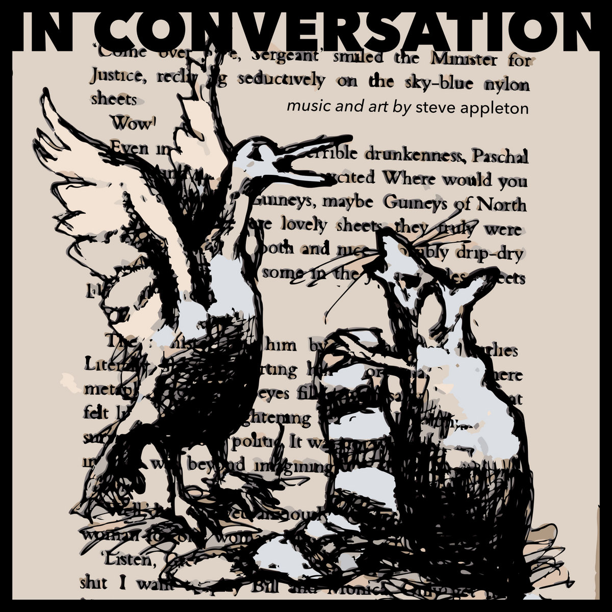 In Conversation Steve Appleton