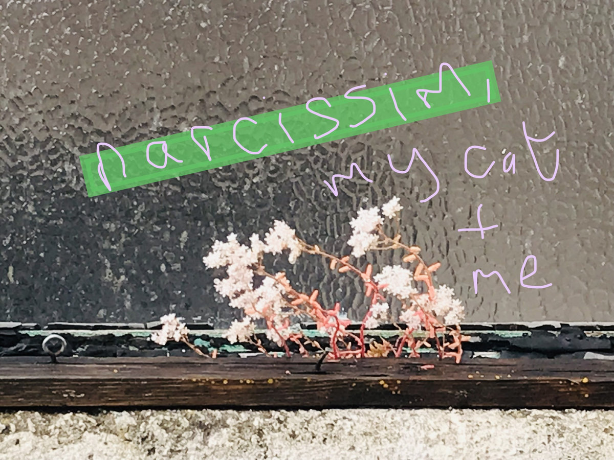 narcissism, my cat and me cover
