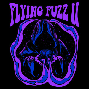 Flying Fuzz II (LP) cover