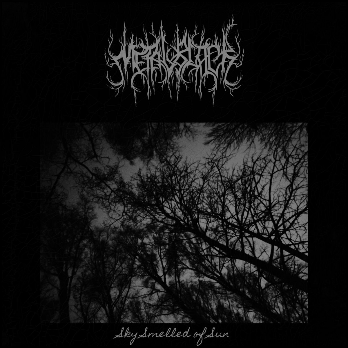 The Night the Sky Smelled of Static