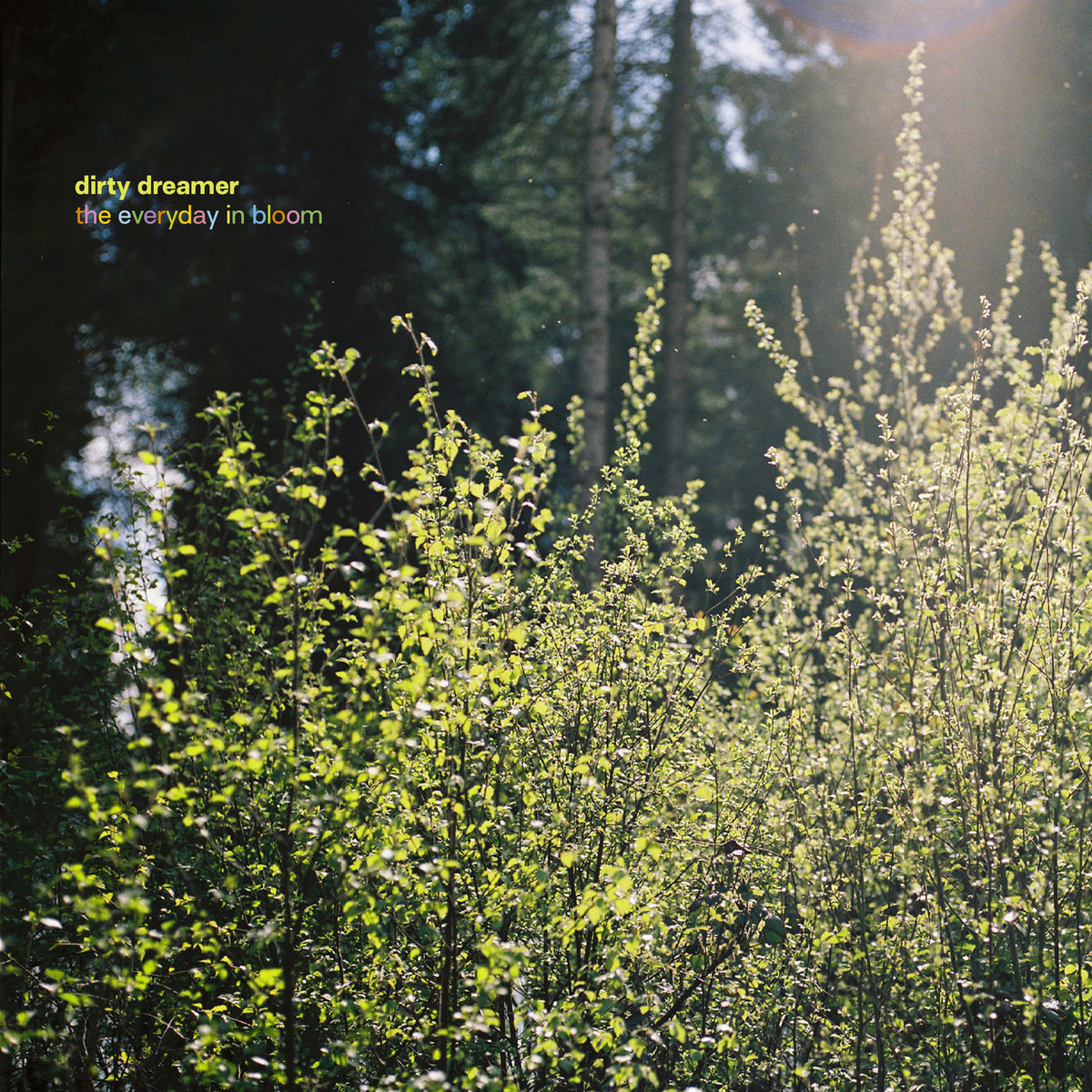 The Everyday In Bloom cover