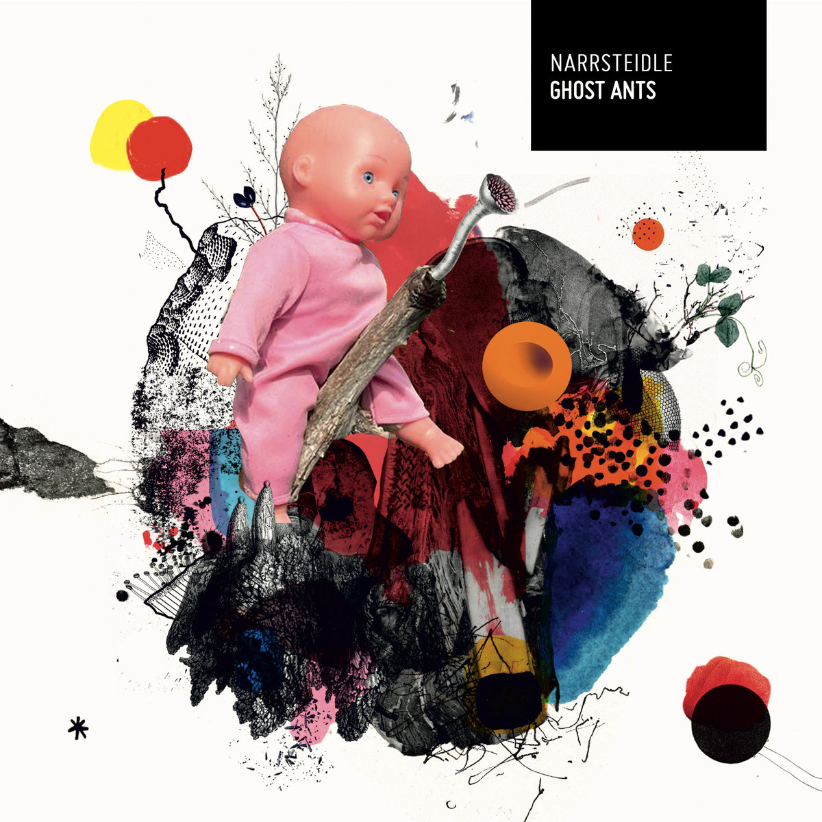 Ghost Ants — Narrsteidle
