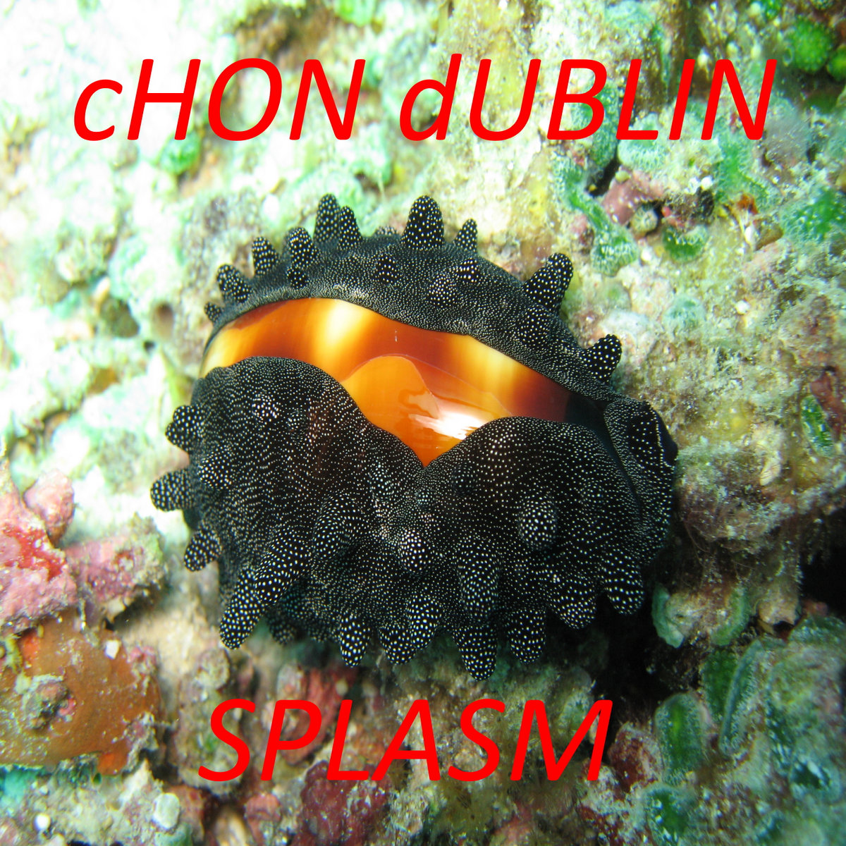 SPLASM cover