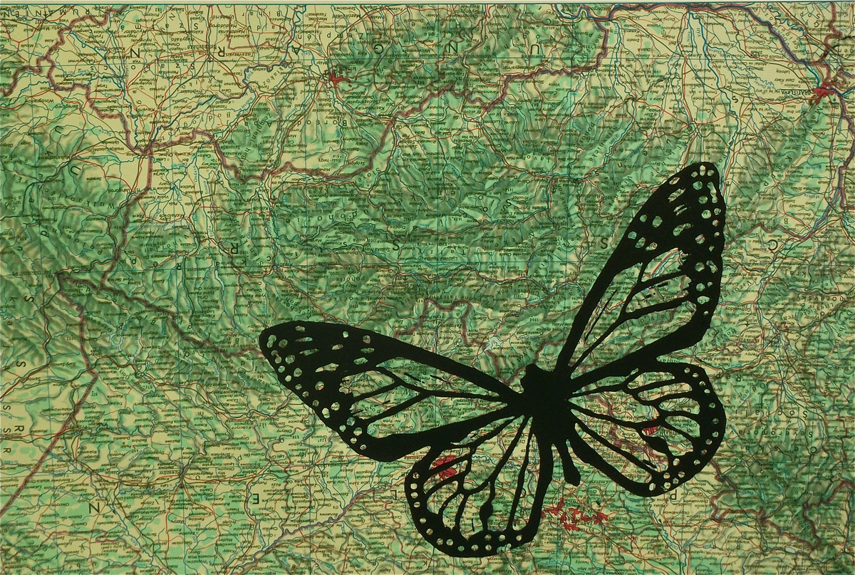 Wild Journeys cover