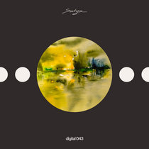 YokoO & Bobi Stevkovski — SATYADGTL043 - Stranger Things