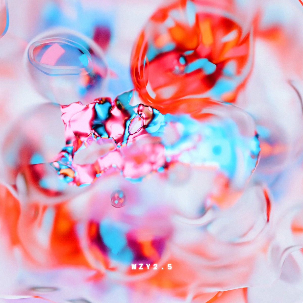 WZY2.5 cover