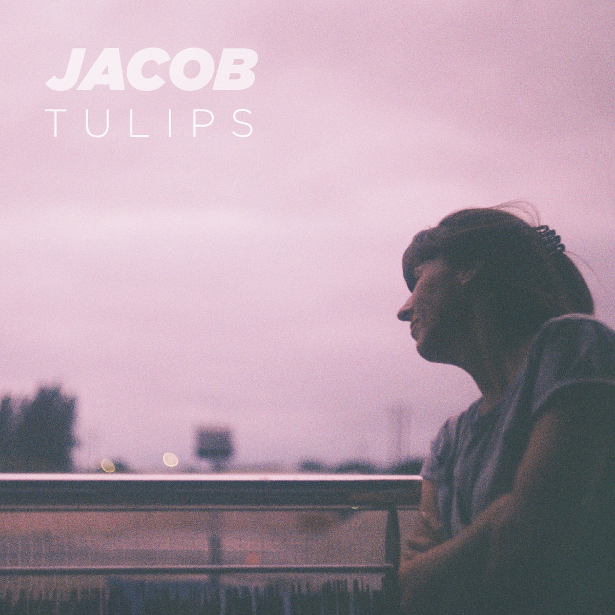 Tulips cover