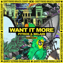 Pitros & Belami — Want It More