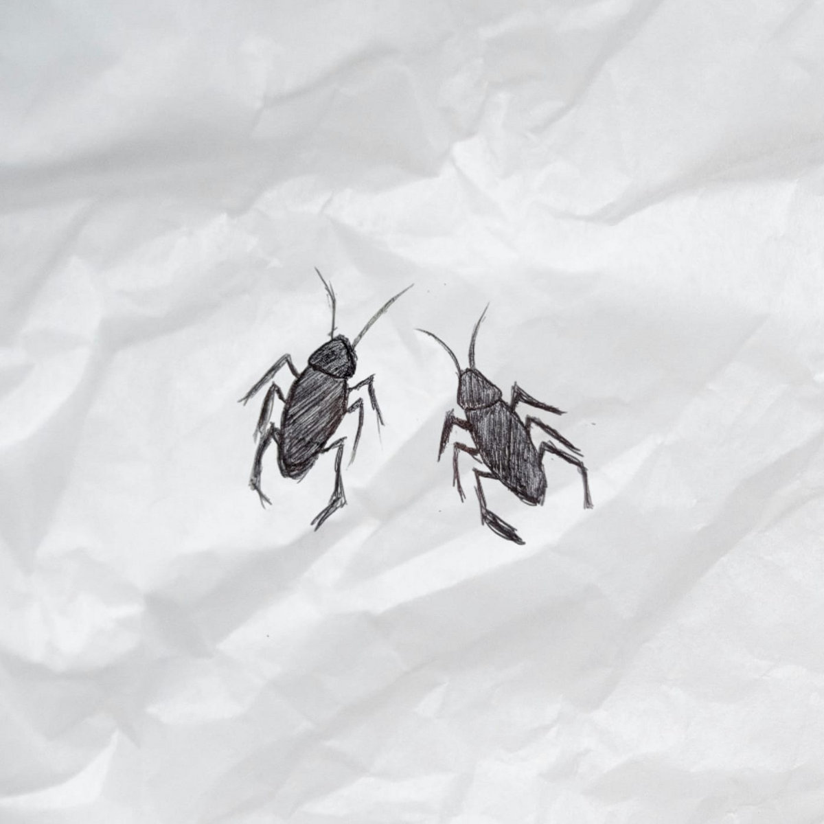 Two Roaches - F.Y.P