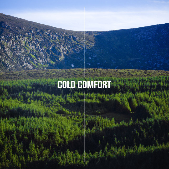 Cold Comfort cover