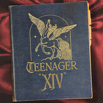 Teenager — Fourteen