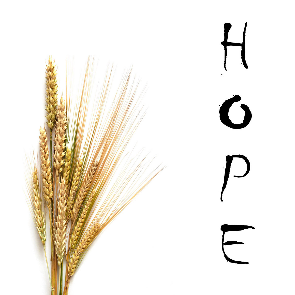 Hope cover