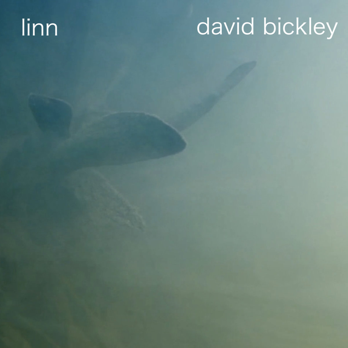 Linn cover
