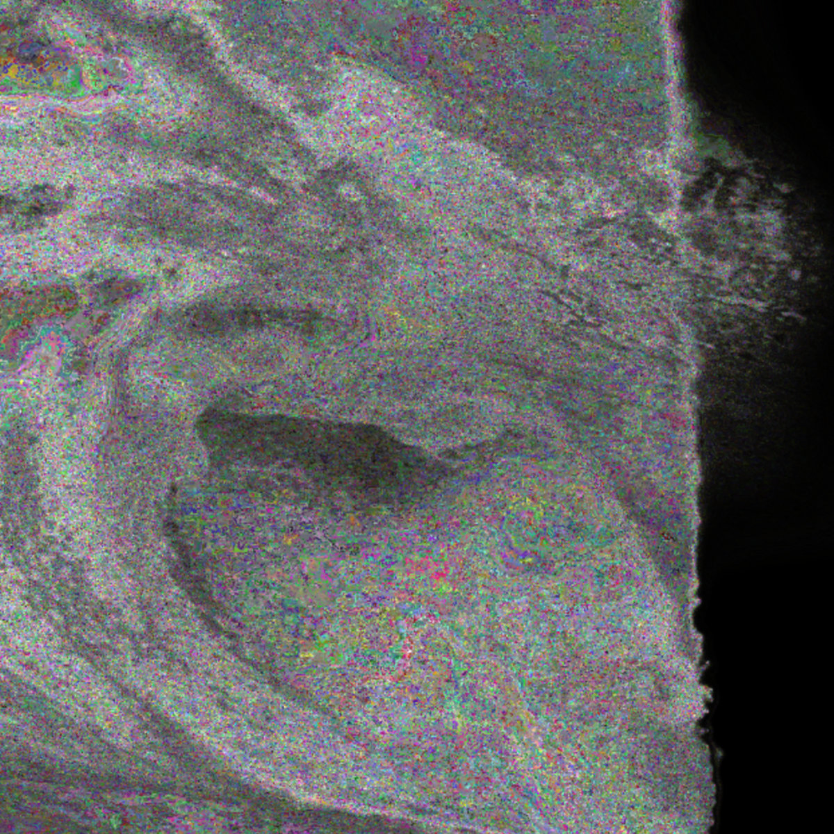Hidden Frequencies cover