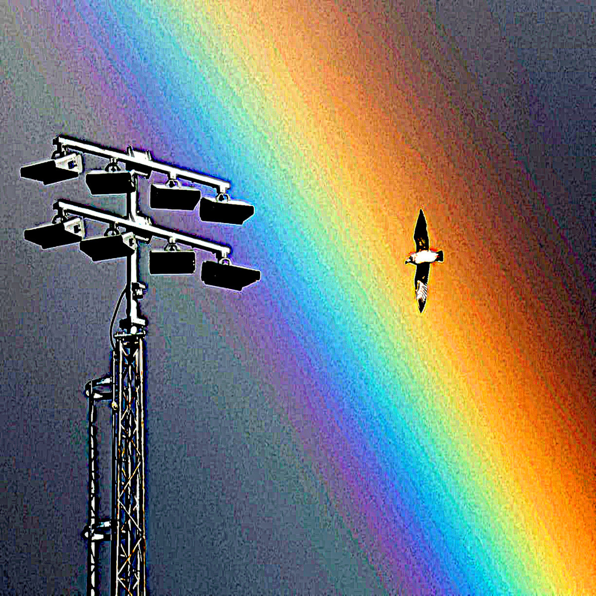 Ordinary Rainbows cover