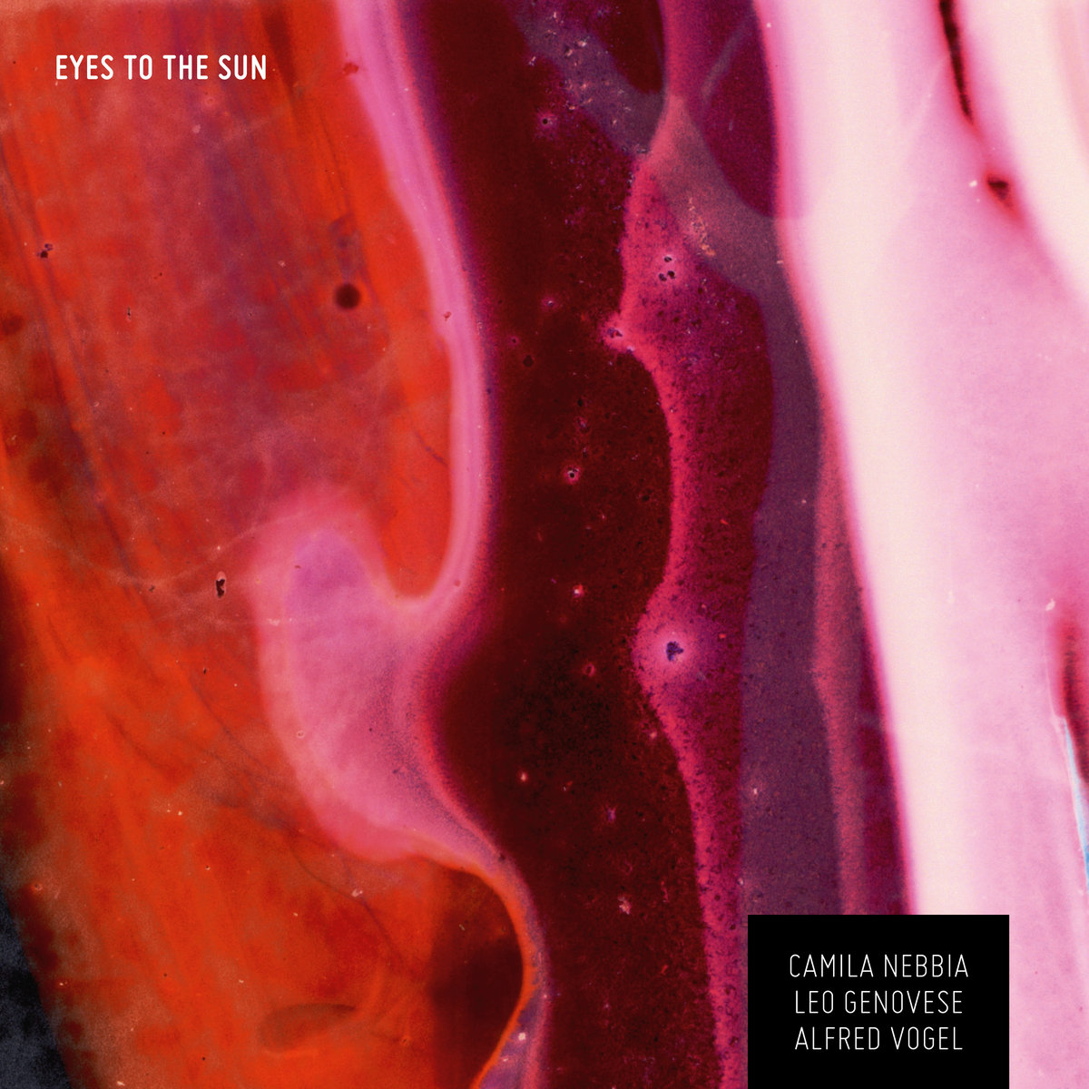EYES TO THE SUN
