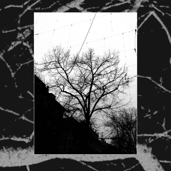 A Sphere Of Simple Green - With An Oblique Glance