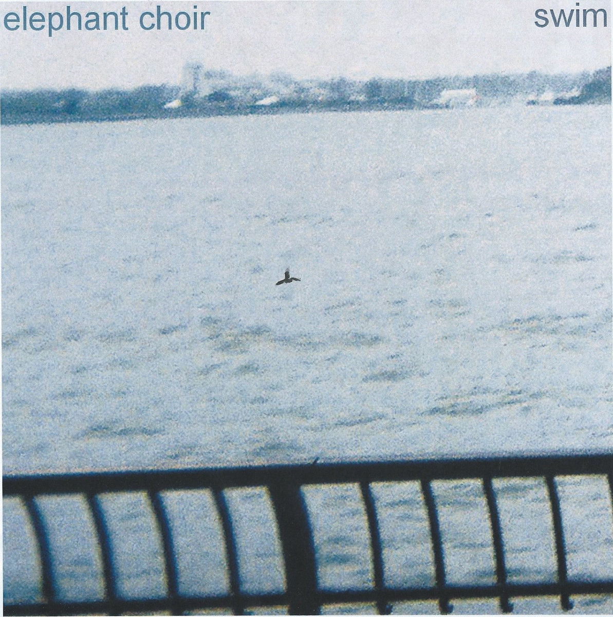 Swim cover