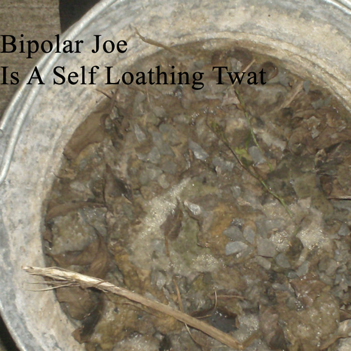 Is A Self Loathing Twat cover