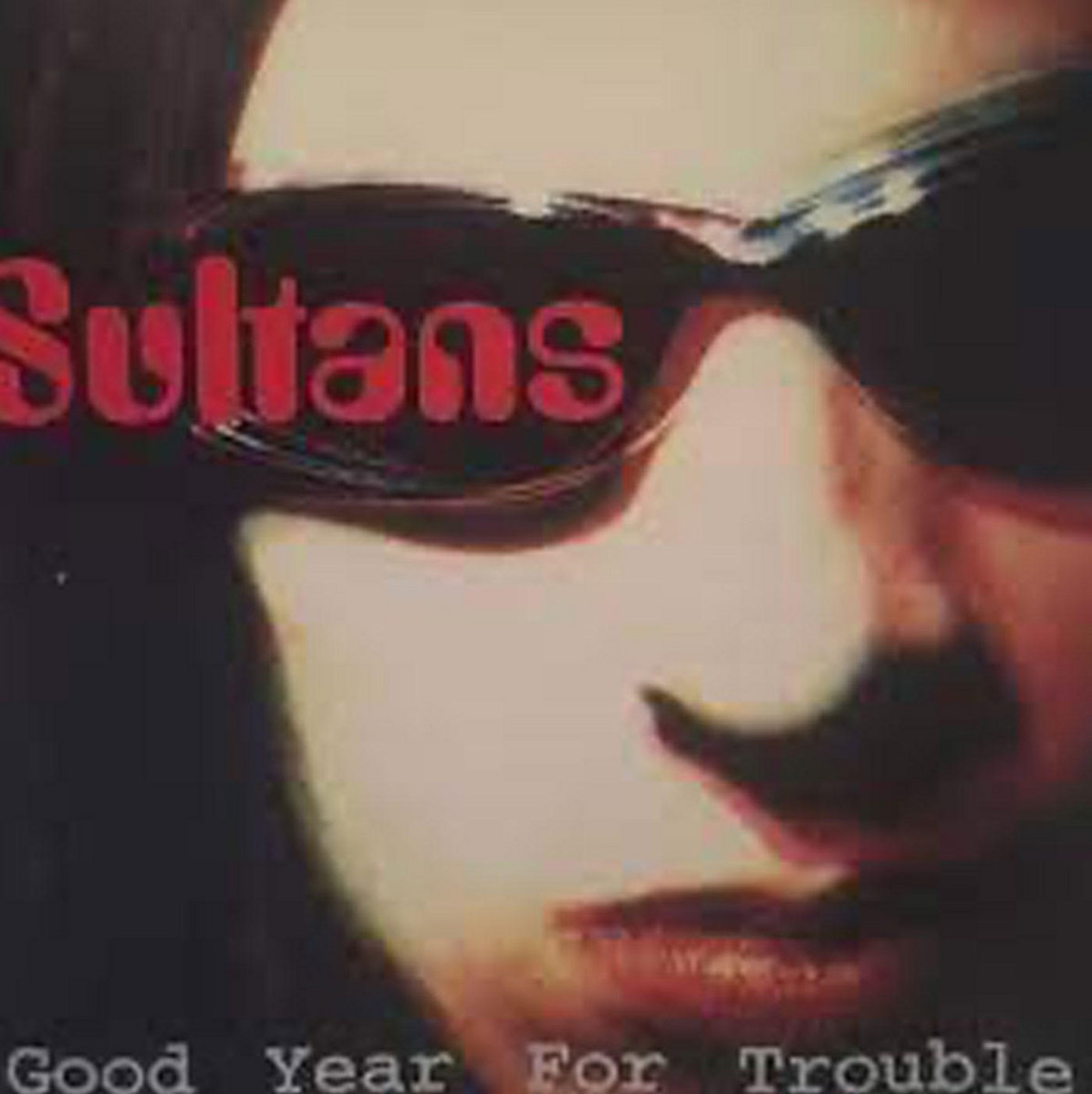 Good Year For Trouble LP cover