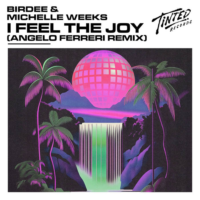 I Feel The Joy (Angelo Ferreri Remix)