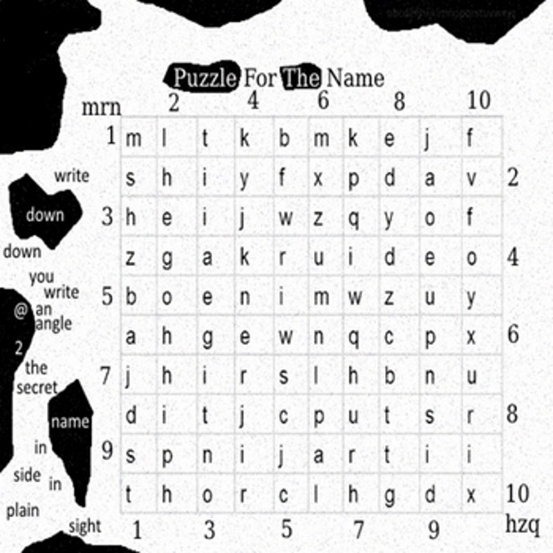 Puzzle For The Name cover