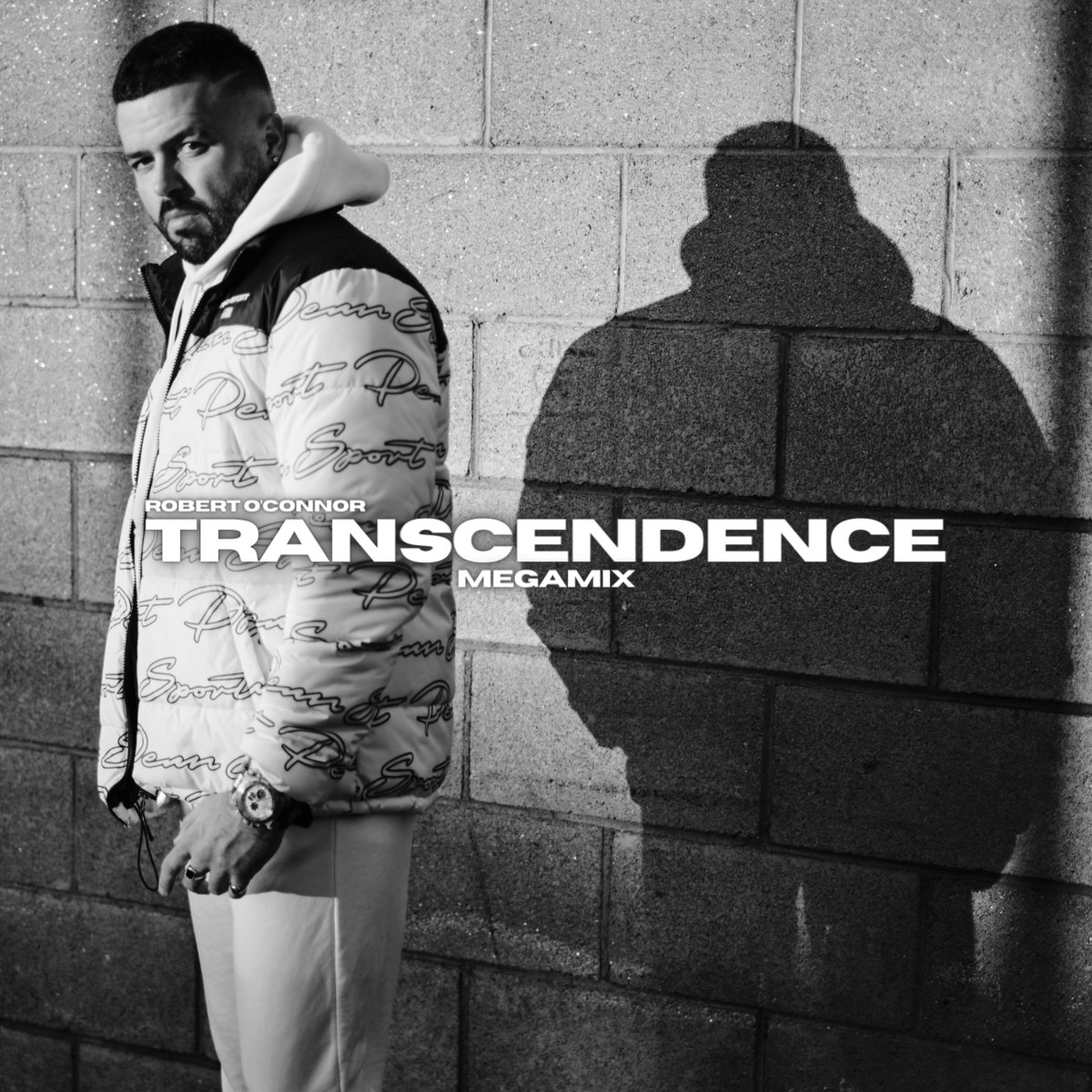 Transcendence (Megamix) cover