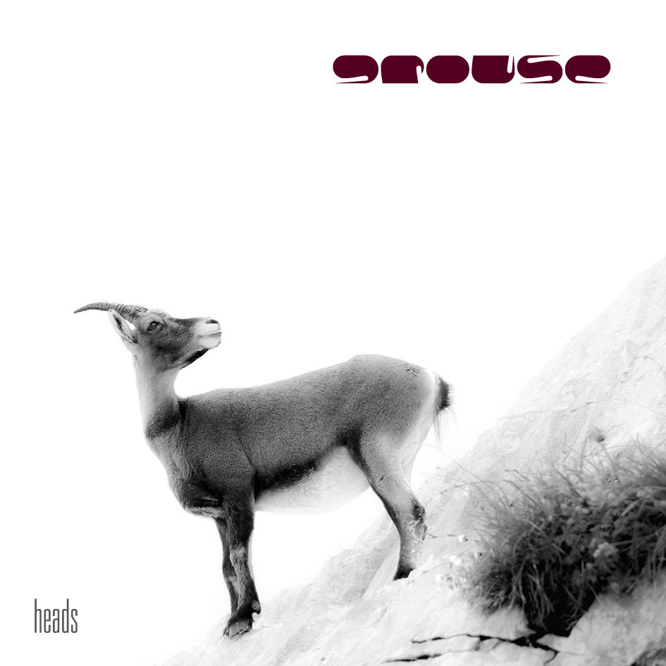 Heads cover