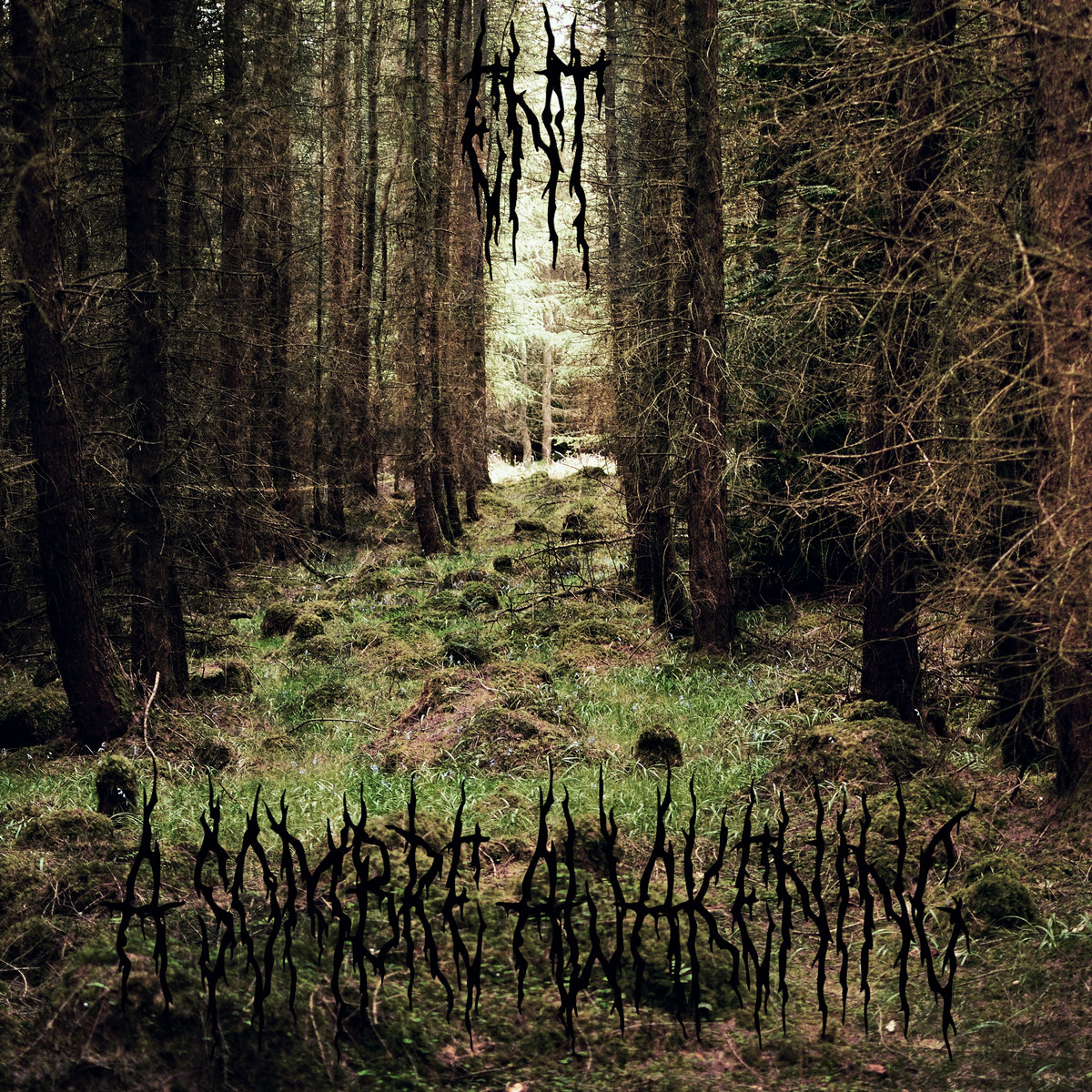 A Sombre Awakening cover