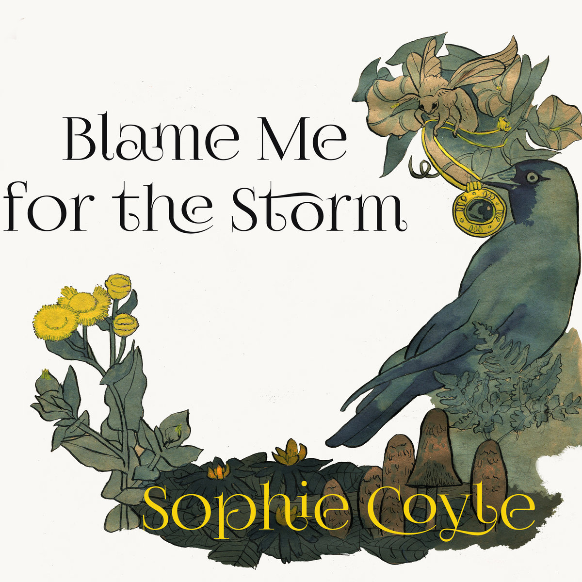 Blame Me For The Storm cover