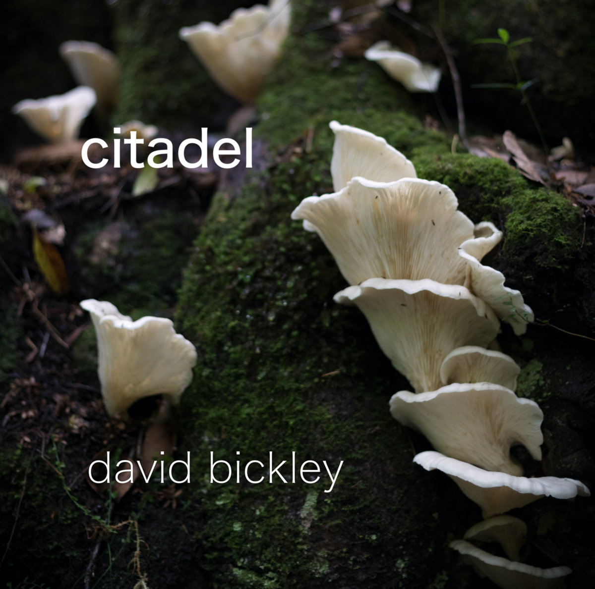 Citadel cover